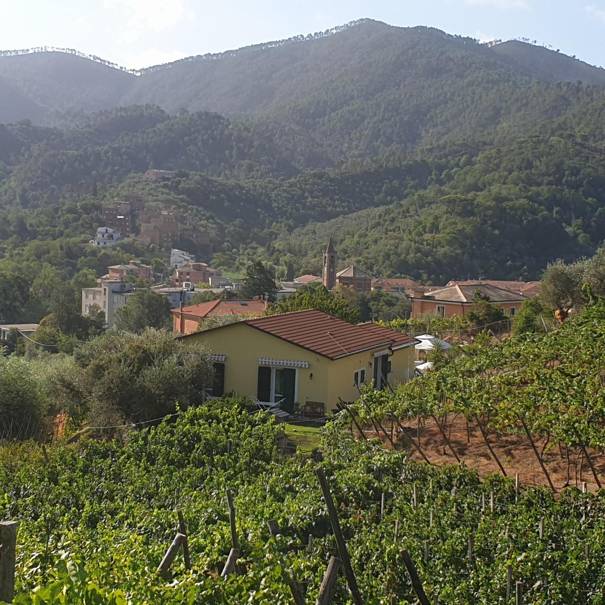 Agriturismo La Collina Verde Леванто Екстер'єр фото