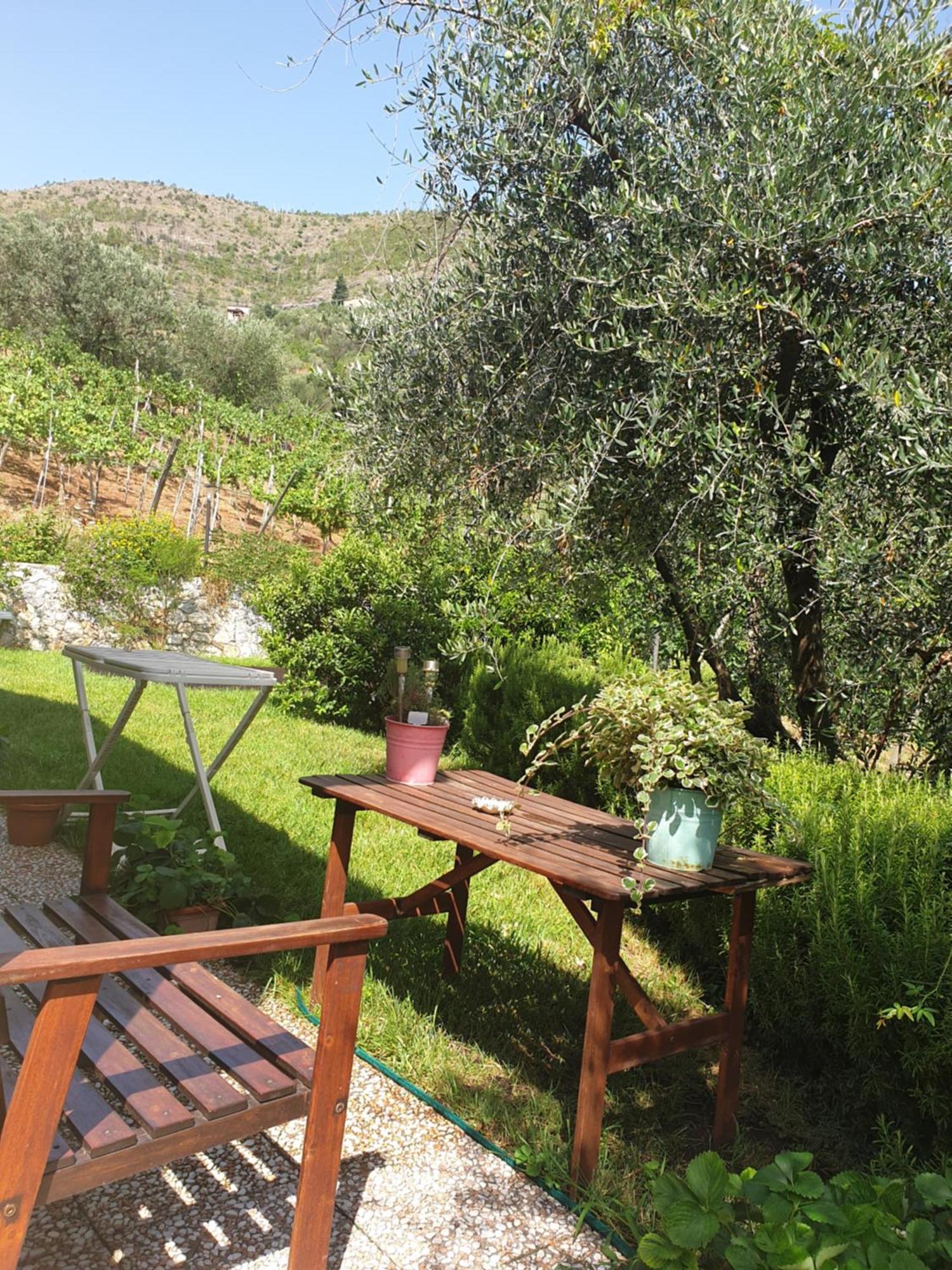 Agriturismo La Collina Verde Леванто Екстер'єр фото